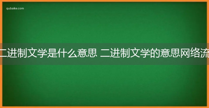 二进制文学是什么意思 二进制文学的意思网络流行语