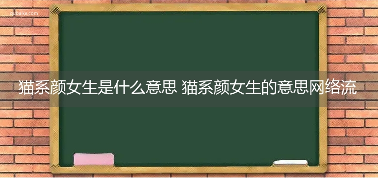 猫系颜女生是什么意思 猫系颜女生的意思网络流行语