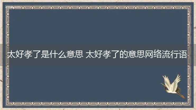 太好孝了是什么意思 太好孝了的意思网络流行语