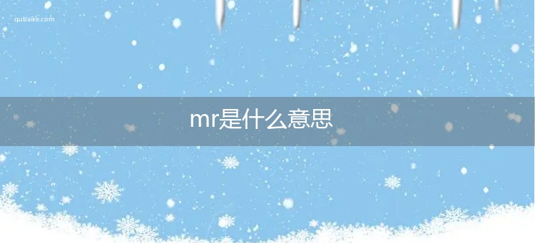 mr是什么意思