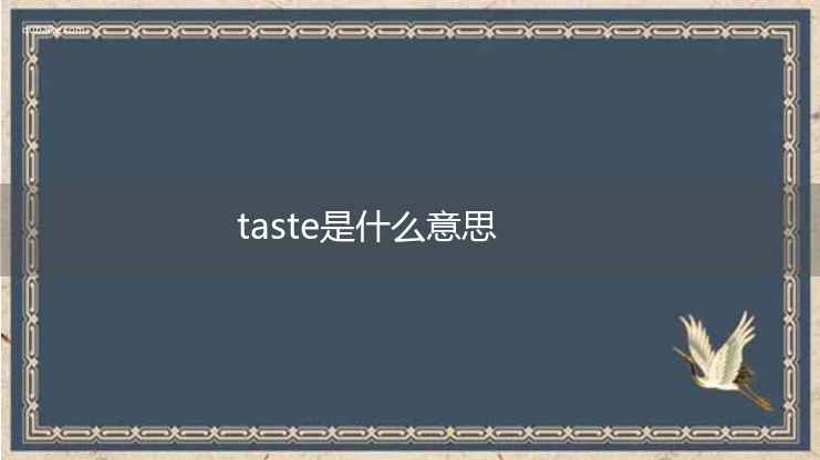 taste是什么意思