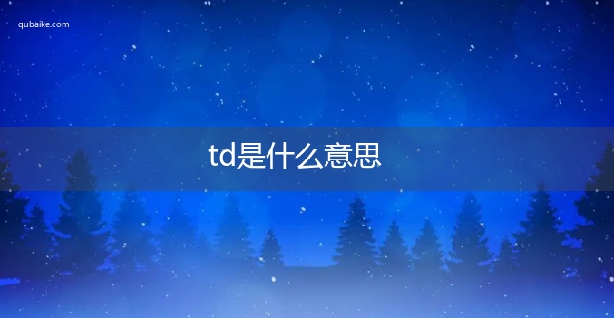 td是什么意思