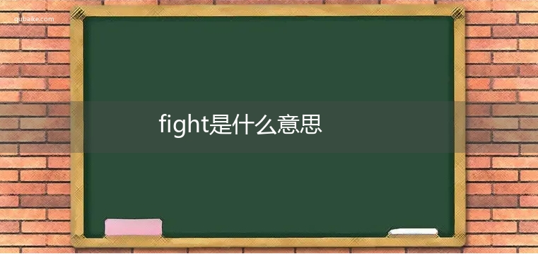 fight是什么意思