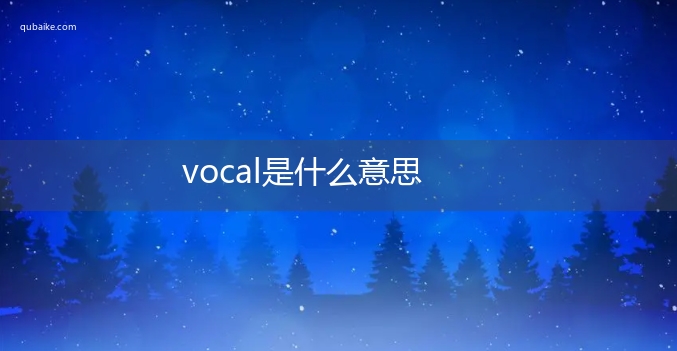 vocal是什么意思