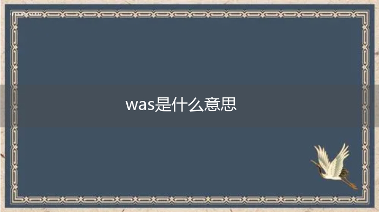 was是什么意思