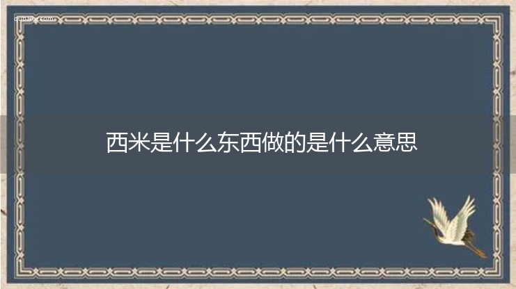 西米是什么东西做的是什么意思