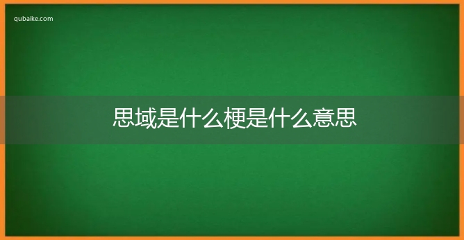 思域是什么梗是什么意思