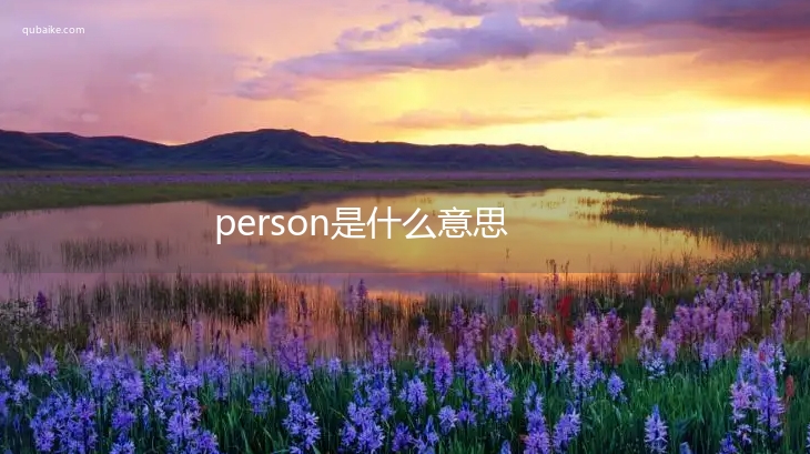 person是什么意思