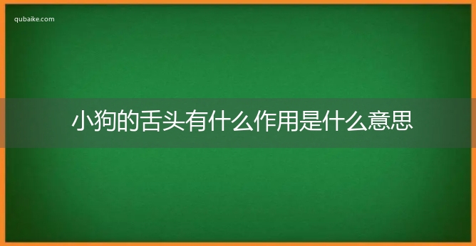 小狗的舌头有什么作用是什么意思