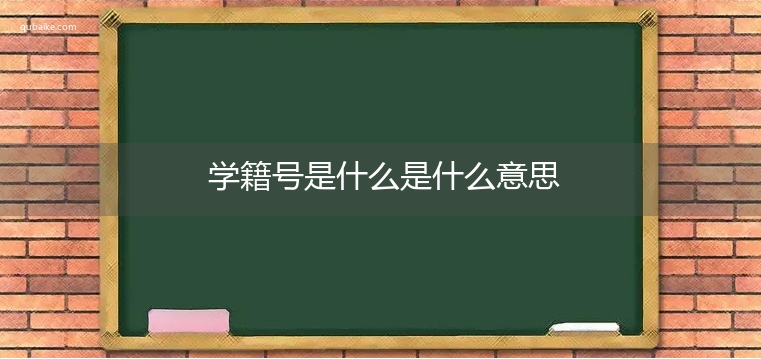 学籍号是什么是什么意思