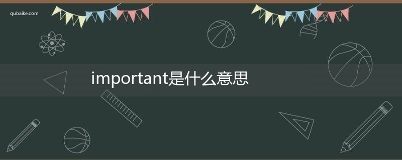 important是什么意思