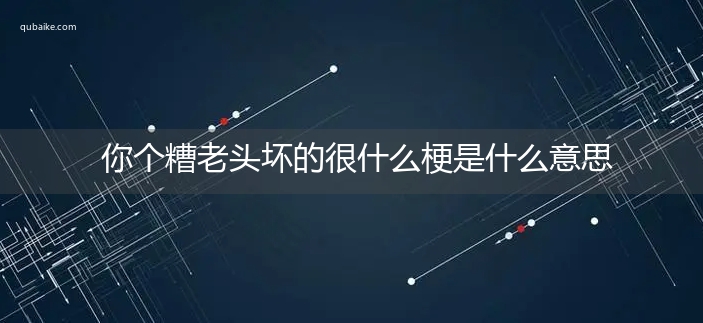 你个糟老头坏的很什么梗是什么意思