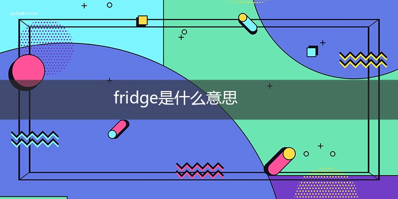 fridge是什么意思