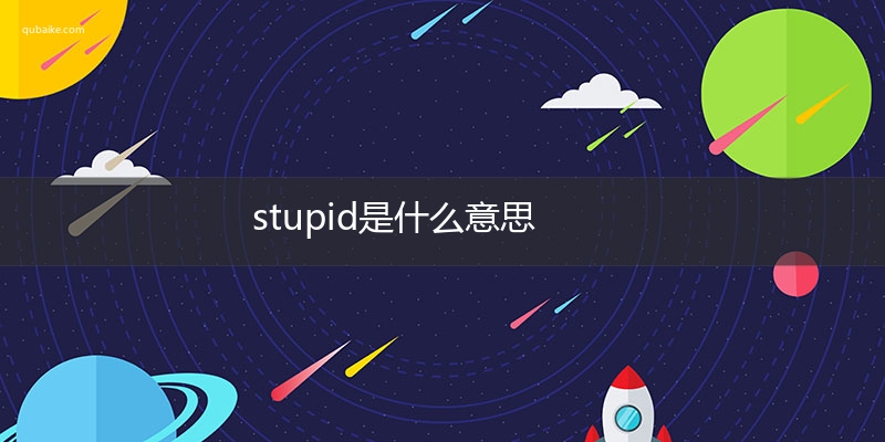 stupid是什么意思