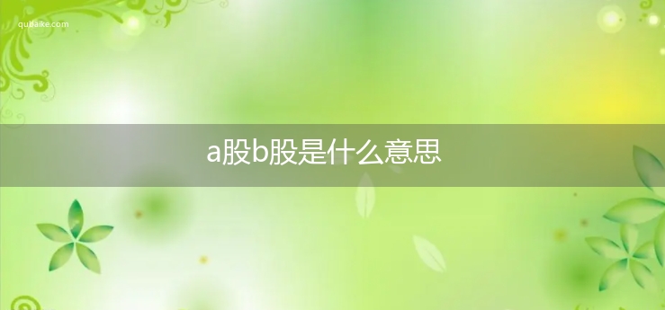 a股b股是什么意思