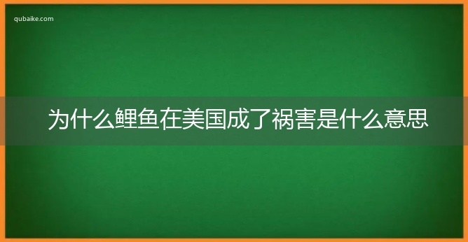 为什么鲤鱼在美国成了祸害是什么意思