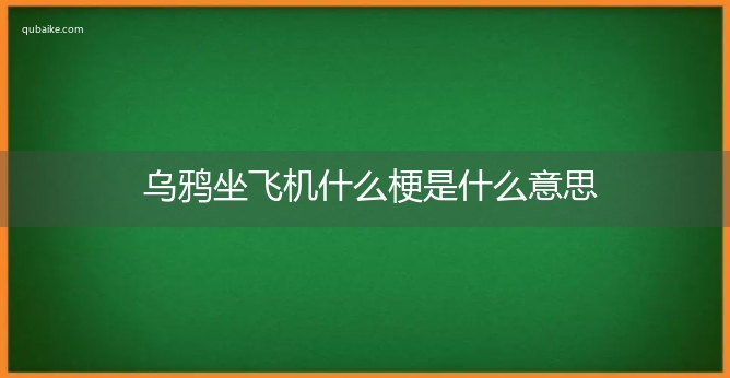 乌鸦坐飞机什么梗是什么意思