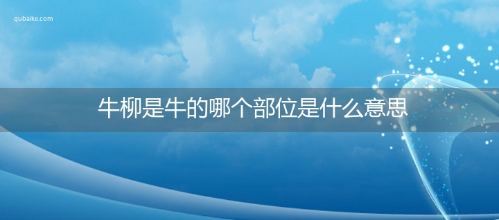 牛柳是牛的哪个部位是什么意思