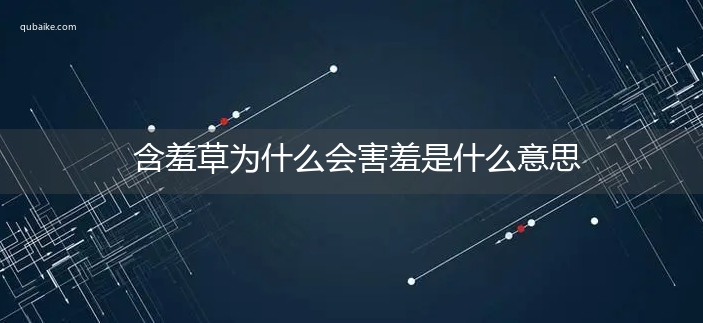 含羞草为什么会害羞是什么意思