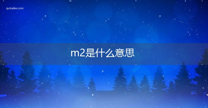 m2是什么意思