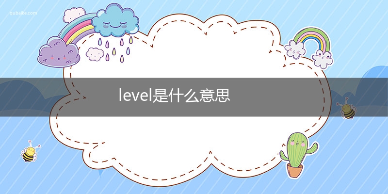 level是什么意思