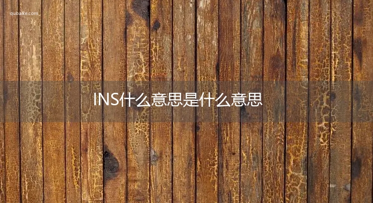 INS什么意思是什么意思