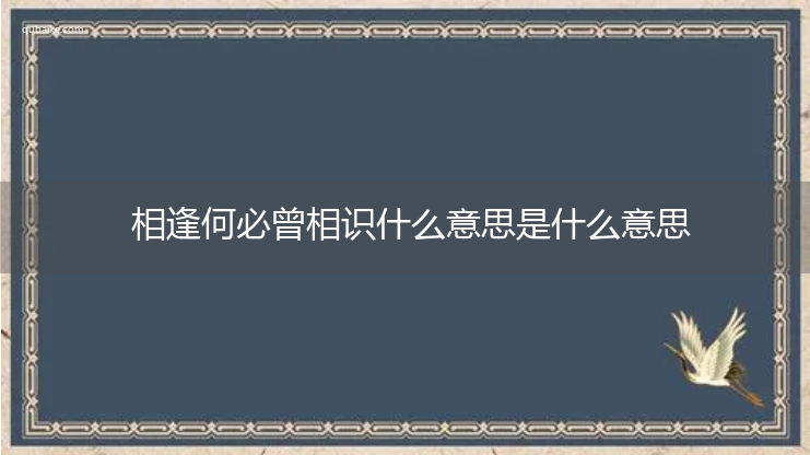 相逢何必曾相识什么意思是什么意思