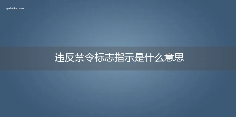 违反禁令标志指示是什么意思