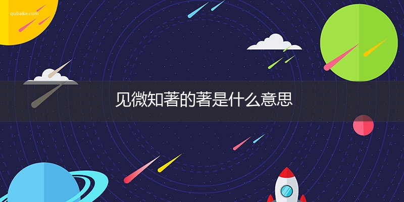 见微知著的著是什么意思