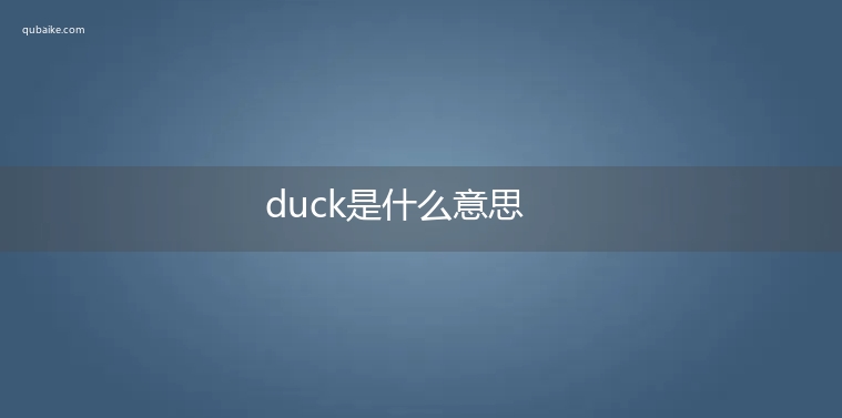 duck是什么意思