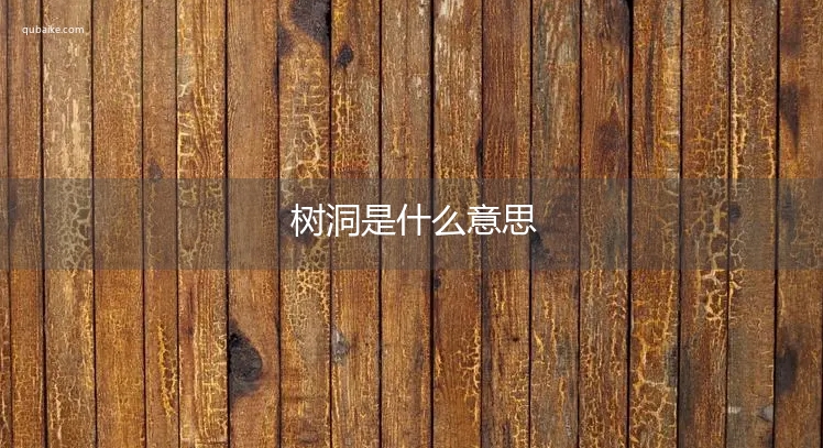 树洞是什么意思