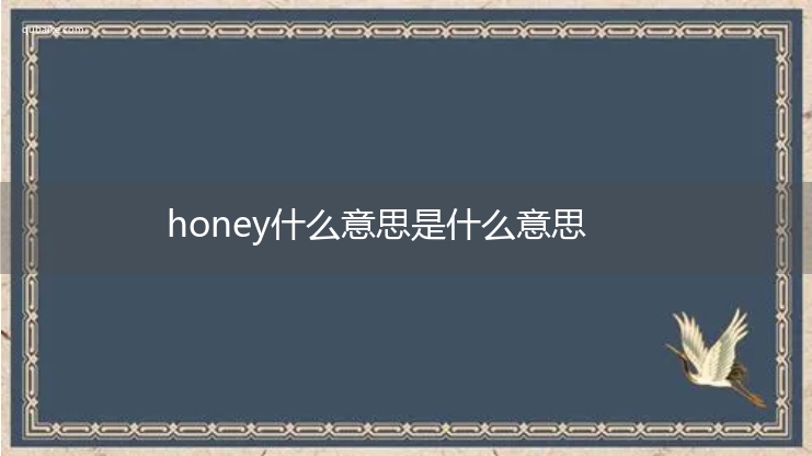 honey什么意思是什么意思