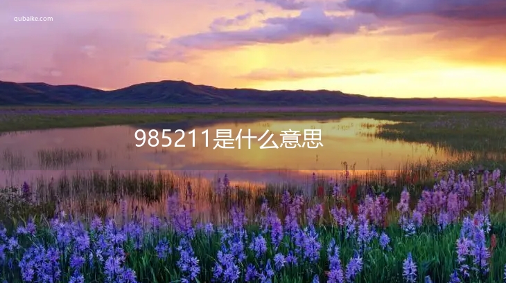 985211是什么意思