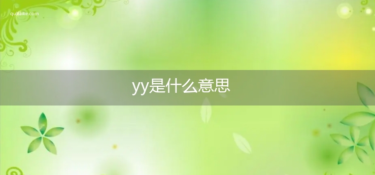 yy是什么意思