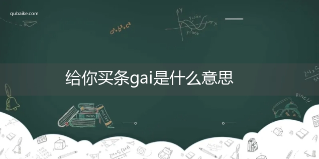 给你买条gai是什么意思