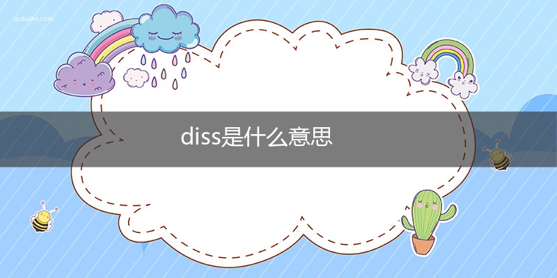 diss是什么意思