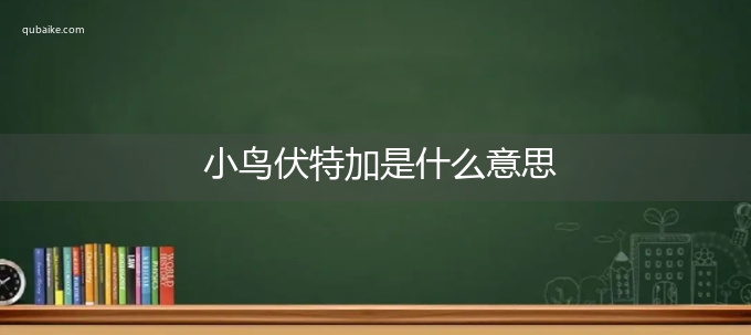 小鸟伏特加是什么意思