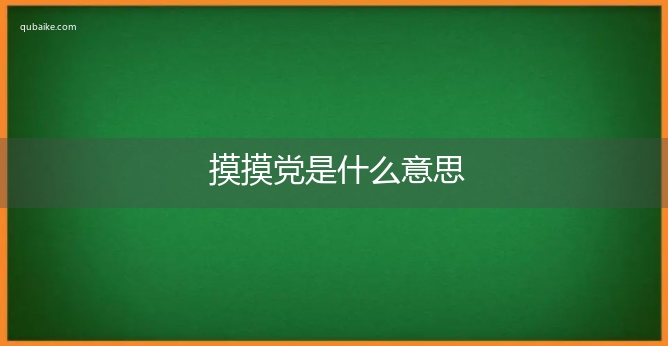 摸摸党是什么意思