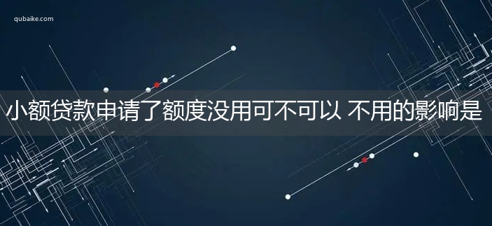 小额贷款申请了额度没用可不可以 不用的影响是什么