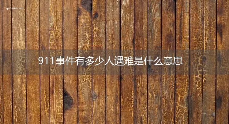 911事件有多少人遇难是什么意思