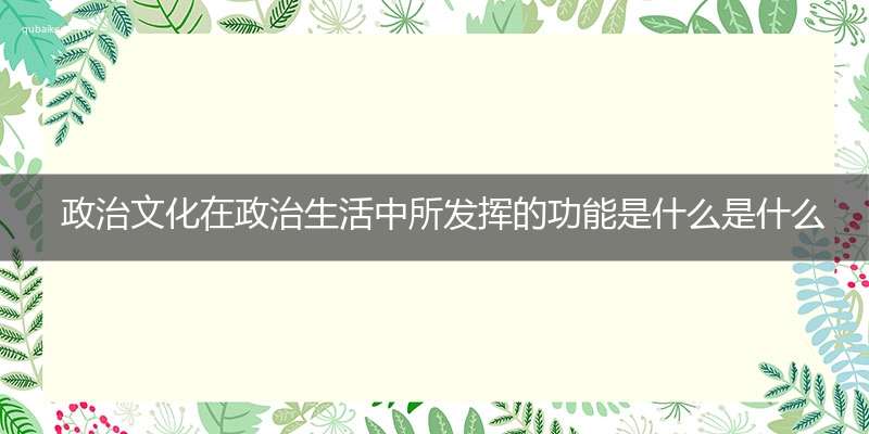 政治文化在政治生活中所发挥的功能是什么是什么意思