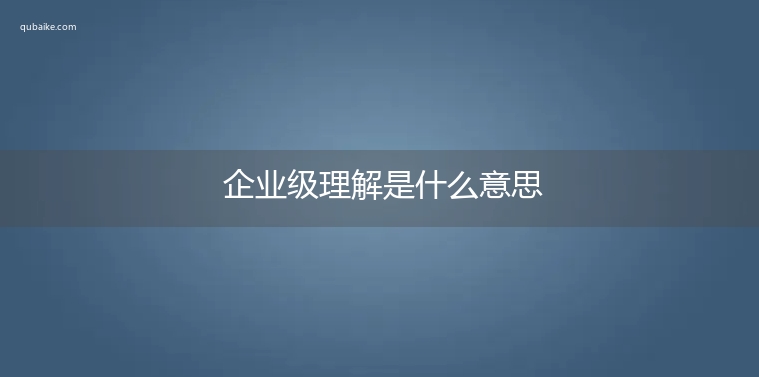 企业级理解是什么意思