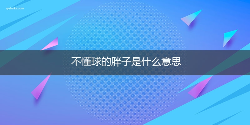 不懂球的胖子是什么意思