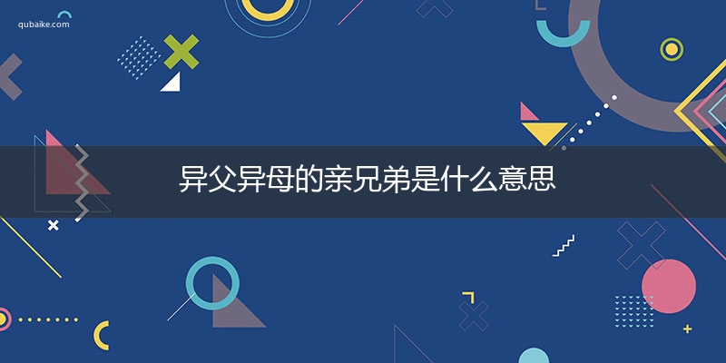 异父异母的亲兄弟是什么意思