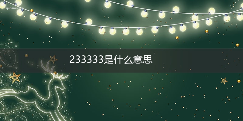 233333是什么意思