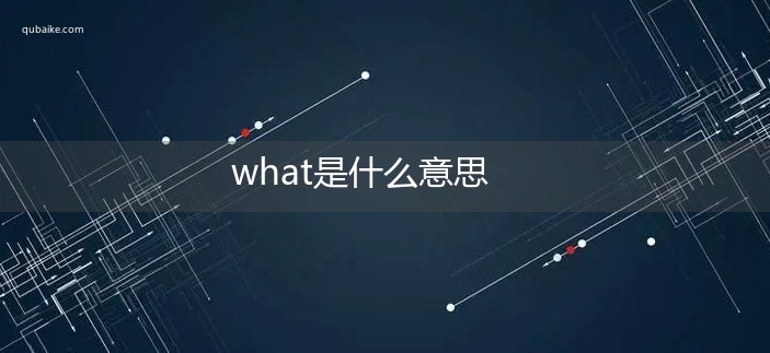 what是什么意思