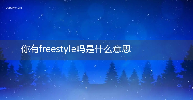 你有freestyle吗是什么意思