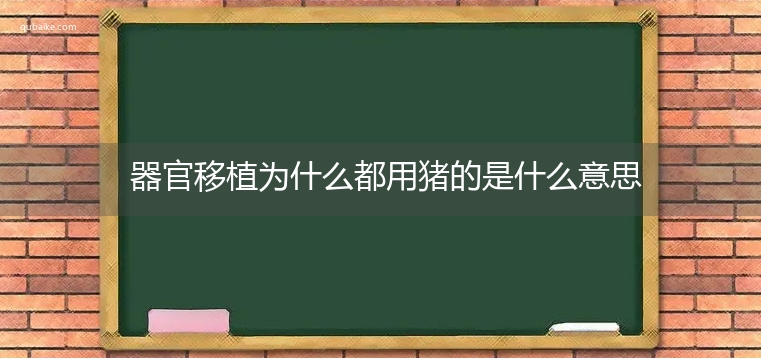 器官移植为什么都用猪的是什么意思