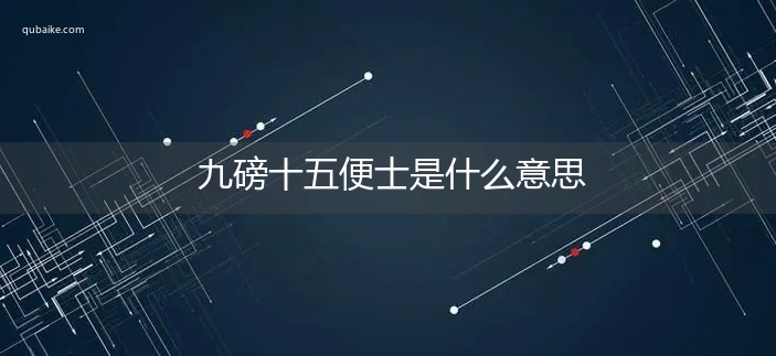 九磅十五便士是什么意思