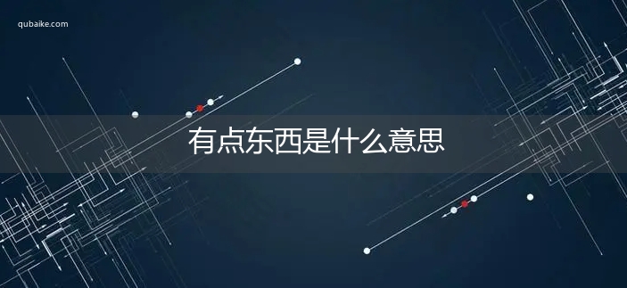 有点东西是什么意思